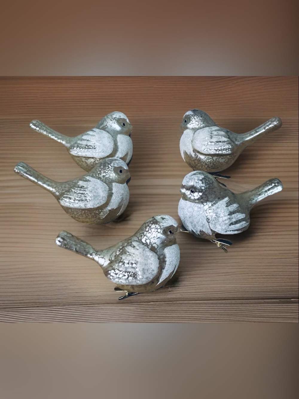 Set of 5 Valerie Parr Hill Mercury Glass Clip-On Bird Ornaments Silver VTG Style